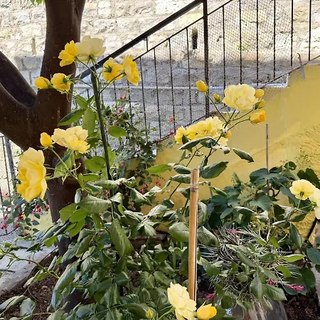 Host4u - Honey's With Balcony And Garden In Center *